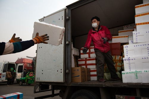 北京农产品货源充足 市民无需囤积蔬菜